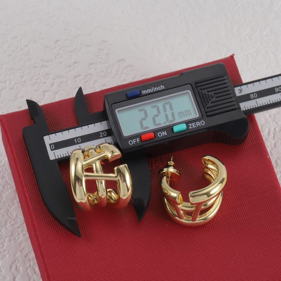 Valentino Earrings