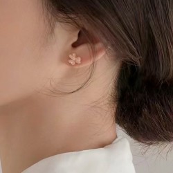 Van Cleef Earrings