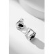Van Cleef Earrings