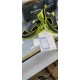 Burberry Shoes: Top Quality