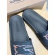 Burberry Shoes: Top Quality