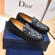 Dior Shoes: Top Quality