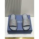 Dior Shoes: Top Quality