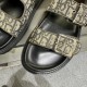 Dior Shoes: Top Quality