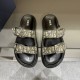 Dior Shoes: Top Quality