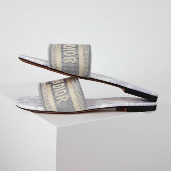Dior Shoes: Top Quality