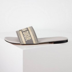 Dior Shoes: Top Quality
