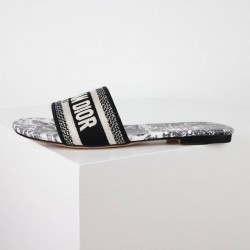Dior Shoes: Top Quality