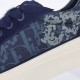Dior Shoes: Top Quality