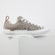 Dior Shoes: Top Quality