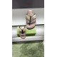 Gucci Shoes: Top Quality