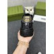 Gucci Shoes: Top Quality
