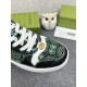Gucci Shoes: Top Quality