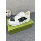 Gucci Shoes: Top Quality