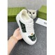 Gucci Shoes: Top Quality