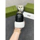 Gucci Shoes: Top Quality