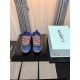 Lanvin Shoes: Top Quality