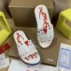 CL slippers