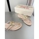 DG slippers
