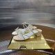Rene Caovilla Slippers