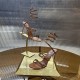 Rene Caovilla Slippers