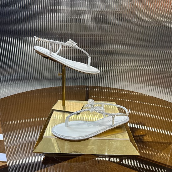 Rene Caovilla Slippers