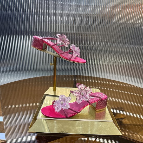 Rene Caovilla Slippers