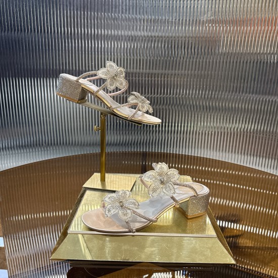 Rene Caovilla Slippers