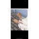 Ugg Shoes High Quality
Women 35-41