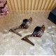 YSL Slippers