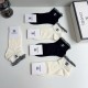 Chanel Socks