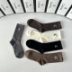 Chanel Socks
