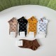Gucci Socks