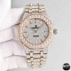 Audemars Piguet Watc Top Quality