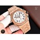 Audemars Piguet Watc Top Quality