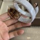 Bulgari Watches: Top Quality