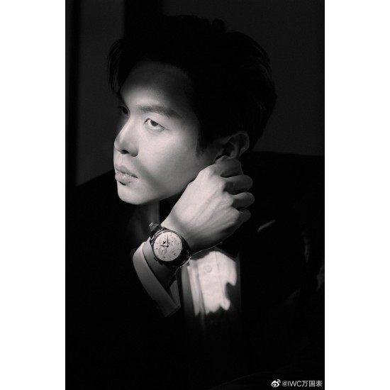 IWC Watches: Top Quality