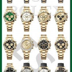 ROLEX Watch