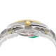 ROLEX Logs Top Quality