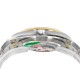 ROLEX Logs Top Quality