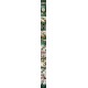 Watch ROLEX Watches—Top Quality