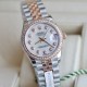 Watch ROLEX Watches—Top Quality