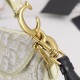 260Dior saddleOblique limited edition cd5501 embroidery gold D large size 255 x 20 x 65 cmBe a classic with classicsFashion is easy to pass away, classics will always existFashion is a cycleSaddle bags have witnessed the birth of the IT Bag to AntiIT Bag 