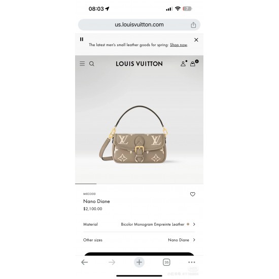 LV nano baguette elephant gray upper model number M83300