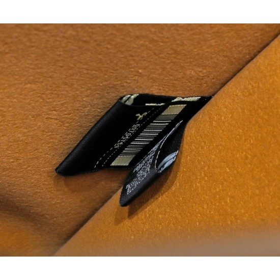 260 Small 3363 a 800 Snake FI TOTE Tote Sunshine Tote Simple Letter LOGO Design Amber Double Handle is the biggest focus of the whole bag Single twisted is very aura and does not strangle the hand Small also comes with a wide shoulder strap Overall retro 