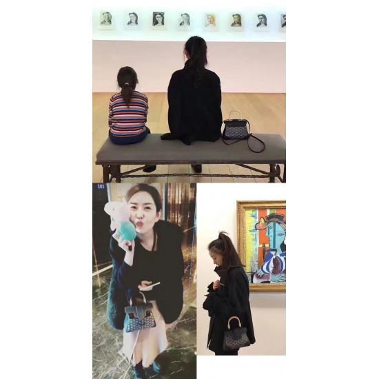 goyard goyard sigon bag mini sigon bag handbag crossbody dual purpose bag saddle bag dog tooth bag kelly bag P260 size top width 18cm height 15cm bottom bottom length 20cm bottom thickness 9cm