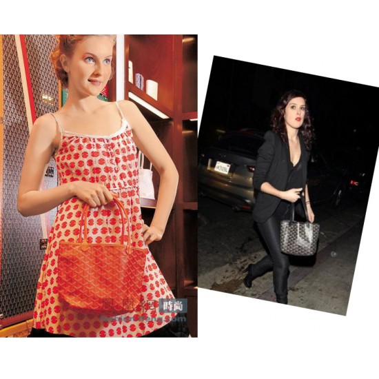 New spring and summer Goya bag Wang Fei same handbag mother bag mini single-sided shopping bag Ins models P100 bottom length 20 top length 28 bottom width 11 height 20 hand raised 18cm